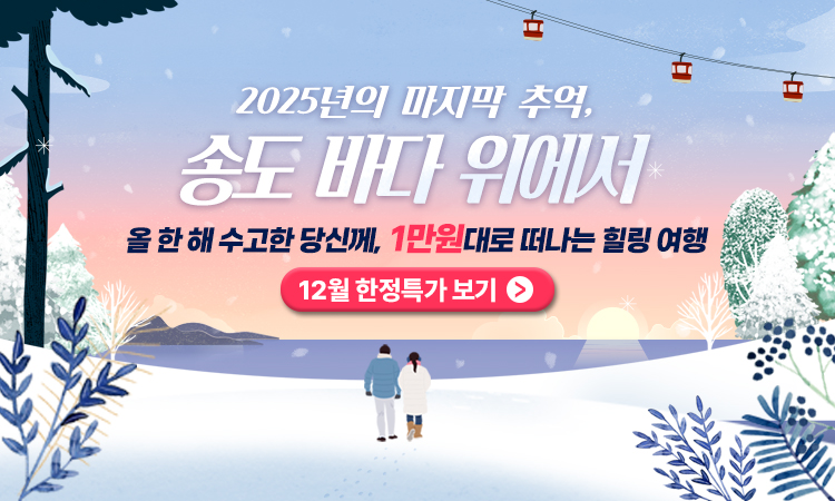 2025년 마지막 프로모션